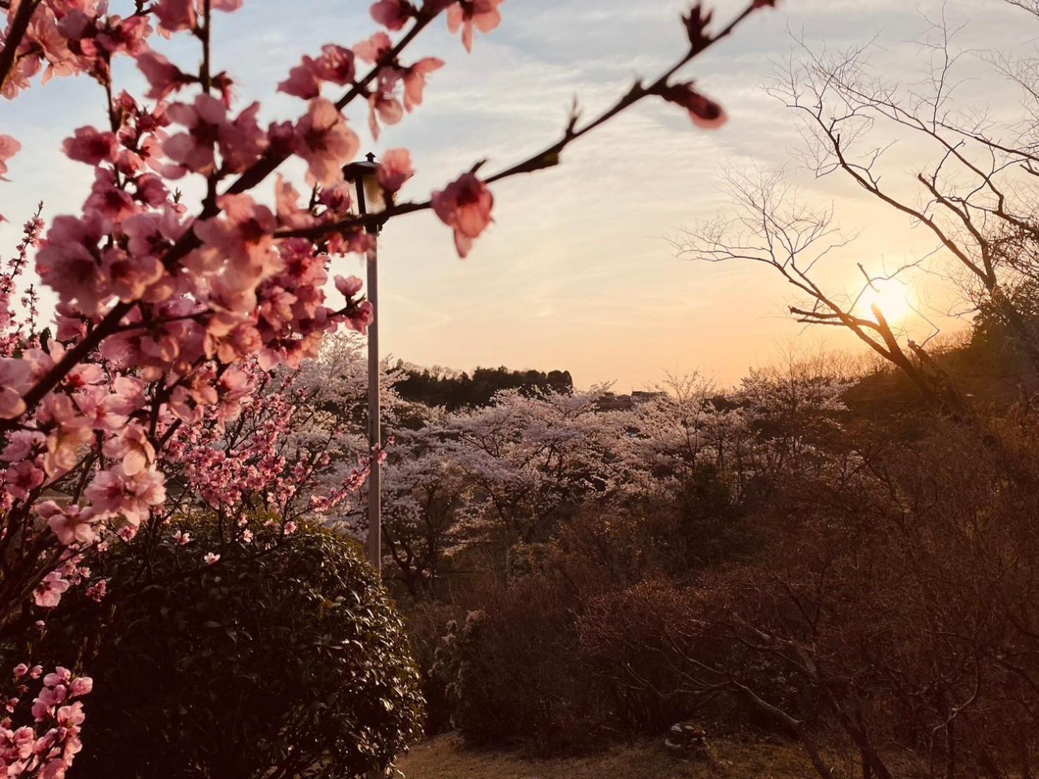 Hotel Granping ng が mi no Du Nakatsugawa Exterior foto